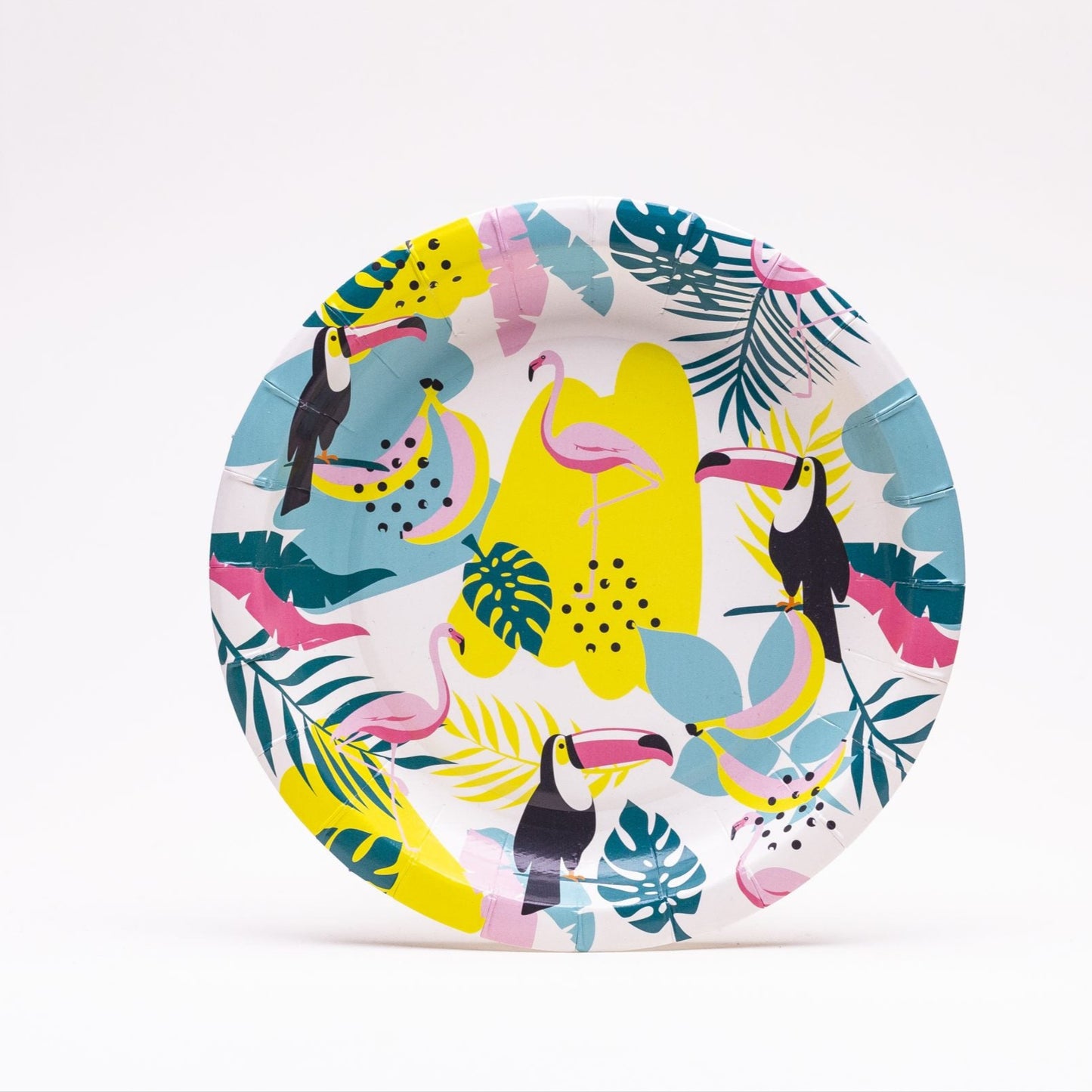 PLATO CARTON BIODEGRADABLE TUCAN - 23 CM